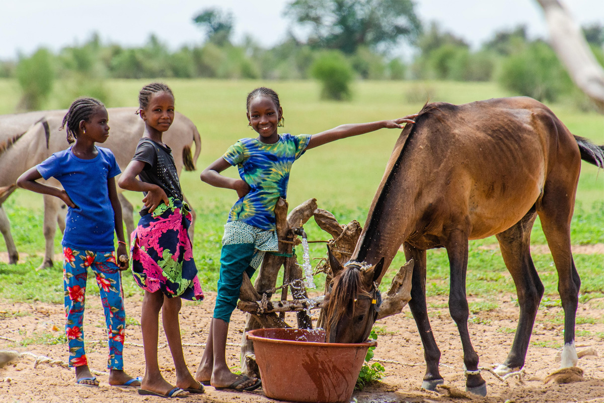 Afrikaanse kinderen laten paard drinken aan waterbron